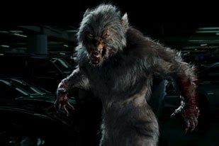 The Curse of the Werewolf: Fact or Fiction?